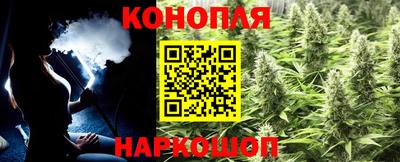 PSILOCYBIN Балахна