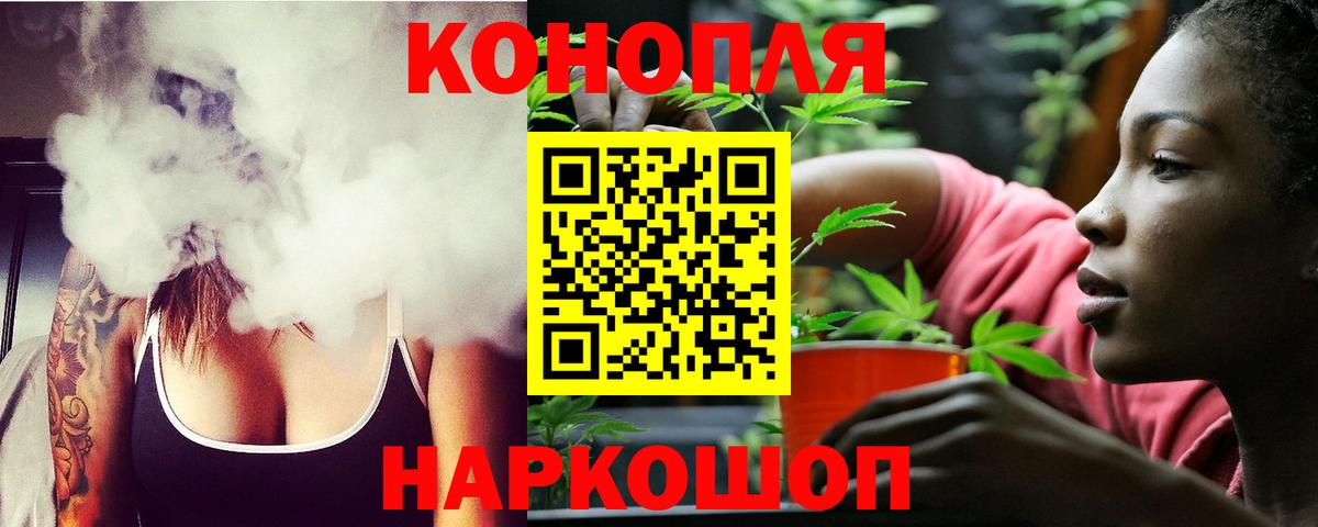 Богданович  Бошки Шишки семена  Конопля ГИДРОПОН  Марихуана гибрид  Каннабис Ganja  Вход с VPN 